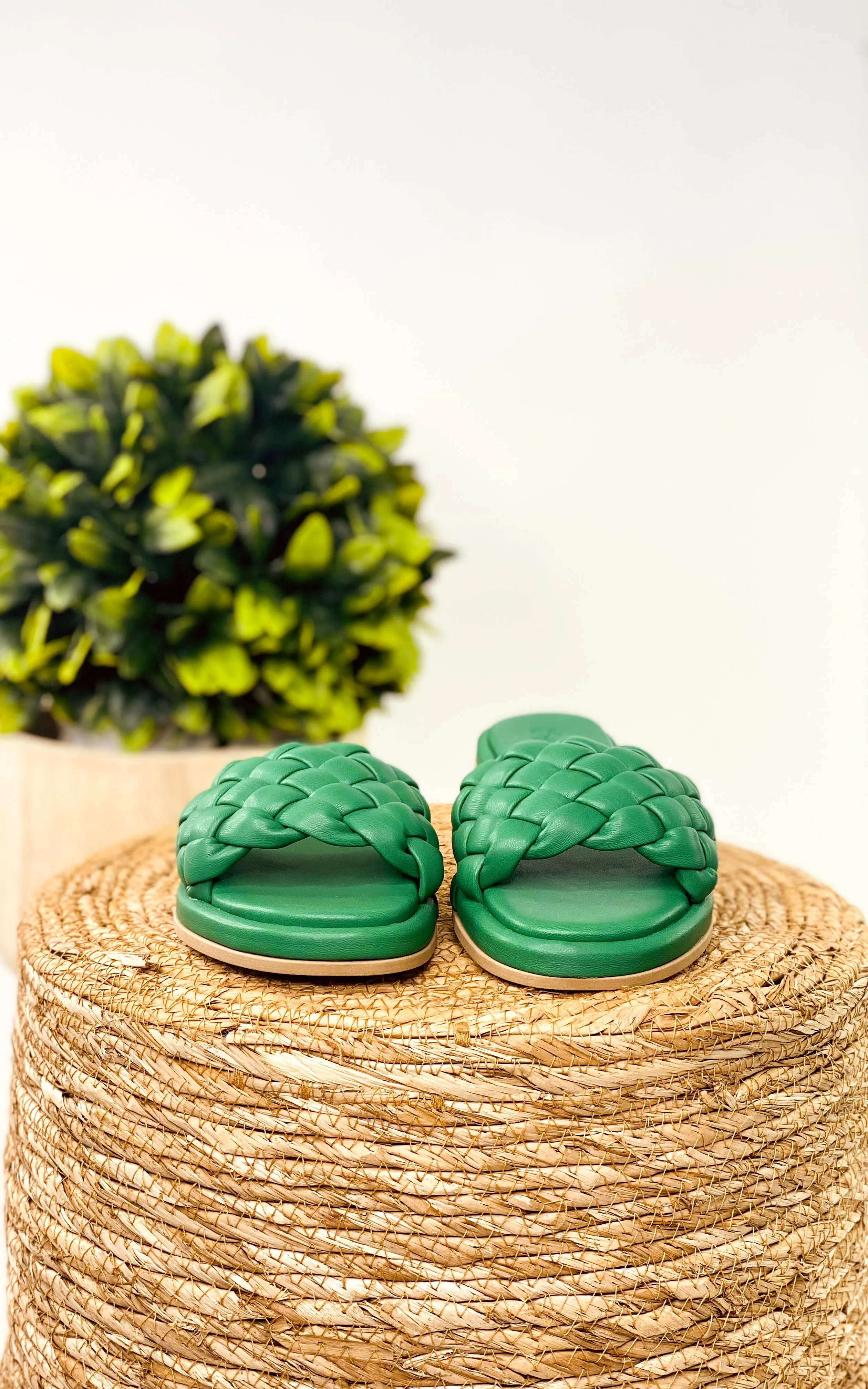 Bellissima Slides in Green