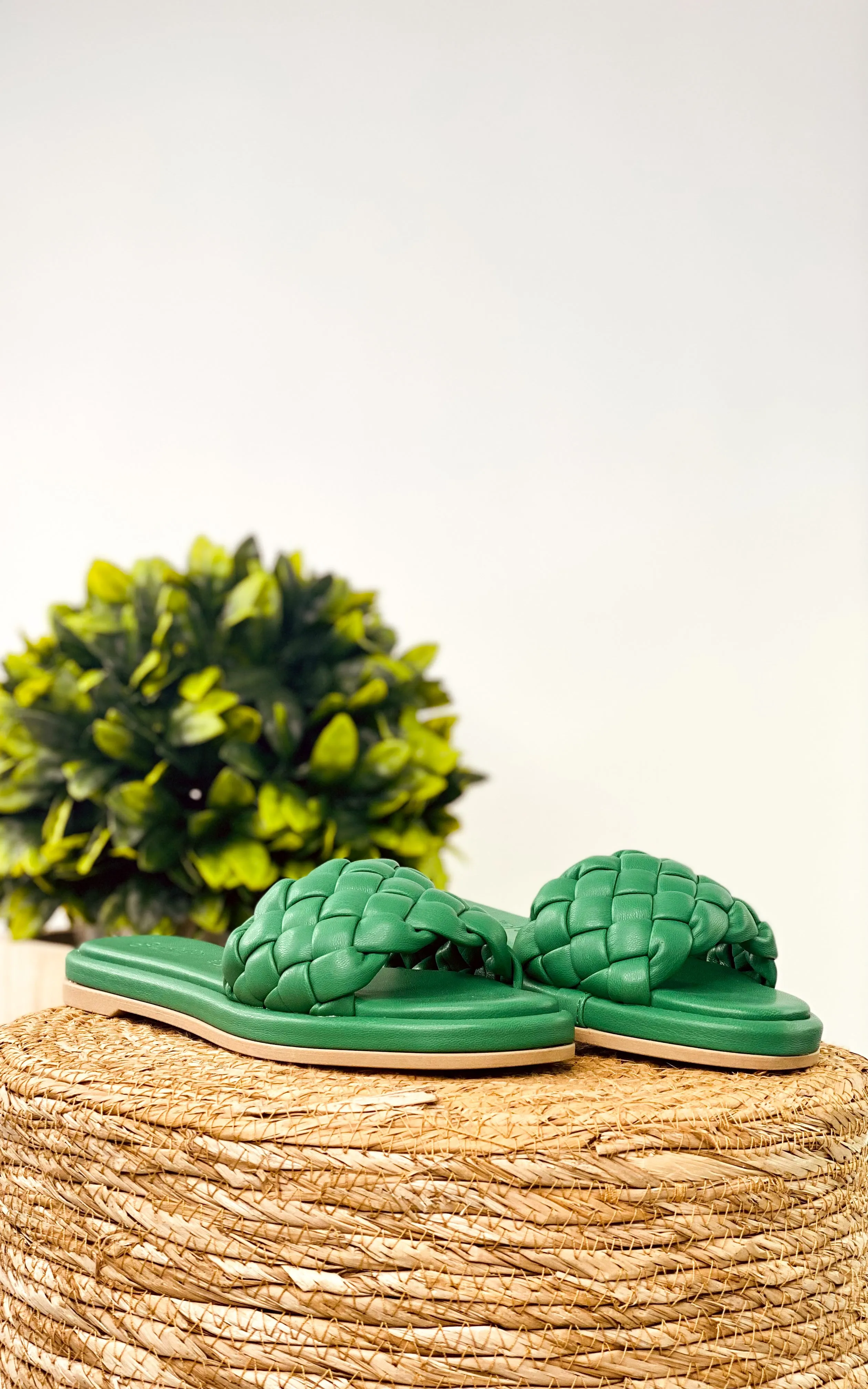 Bellissima Slides in Green