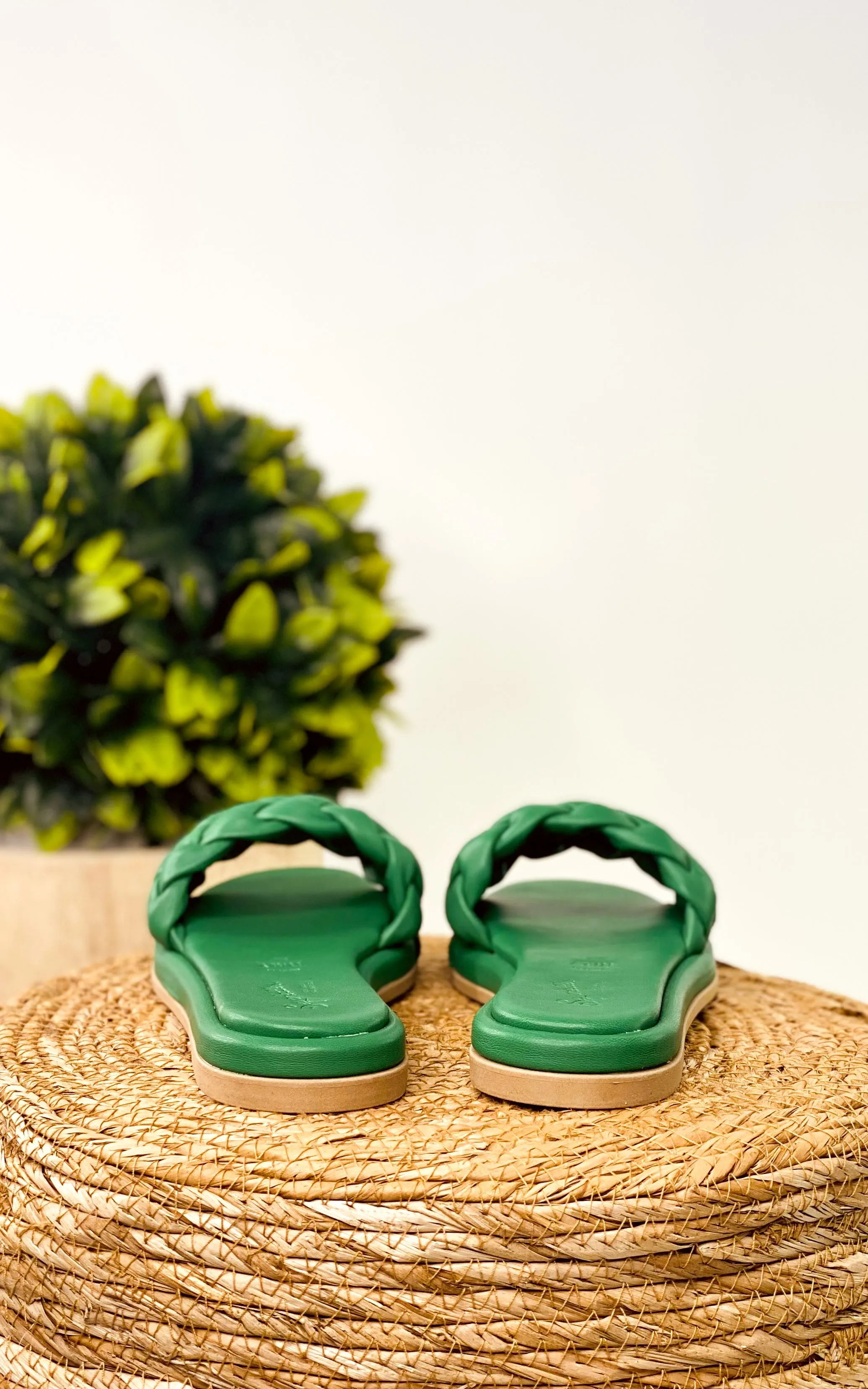 Bellissima Slides in Green