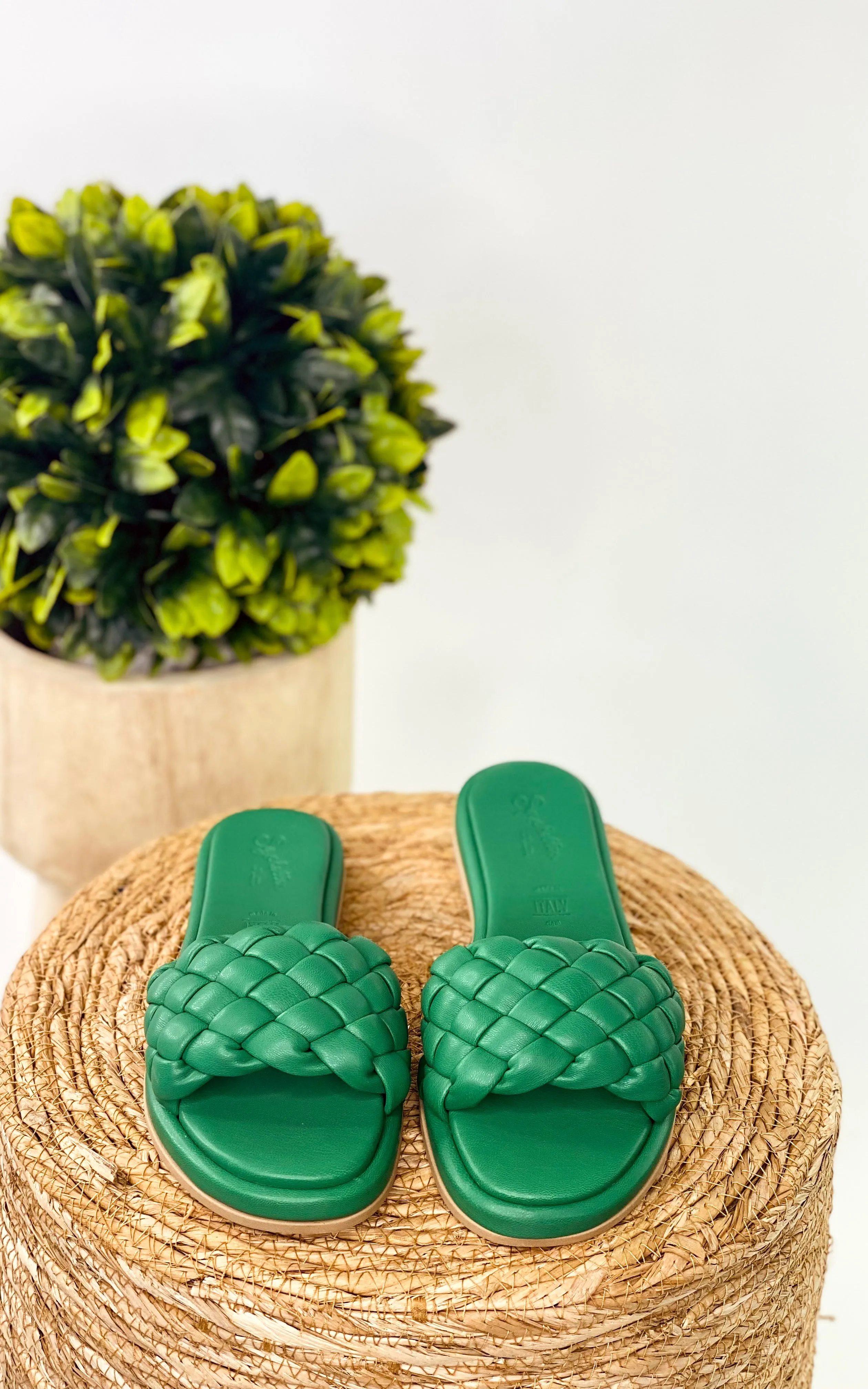 Bellissima Slides in Green