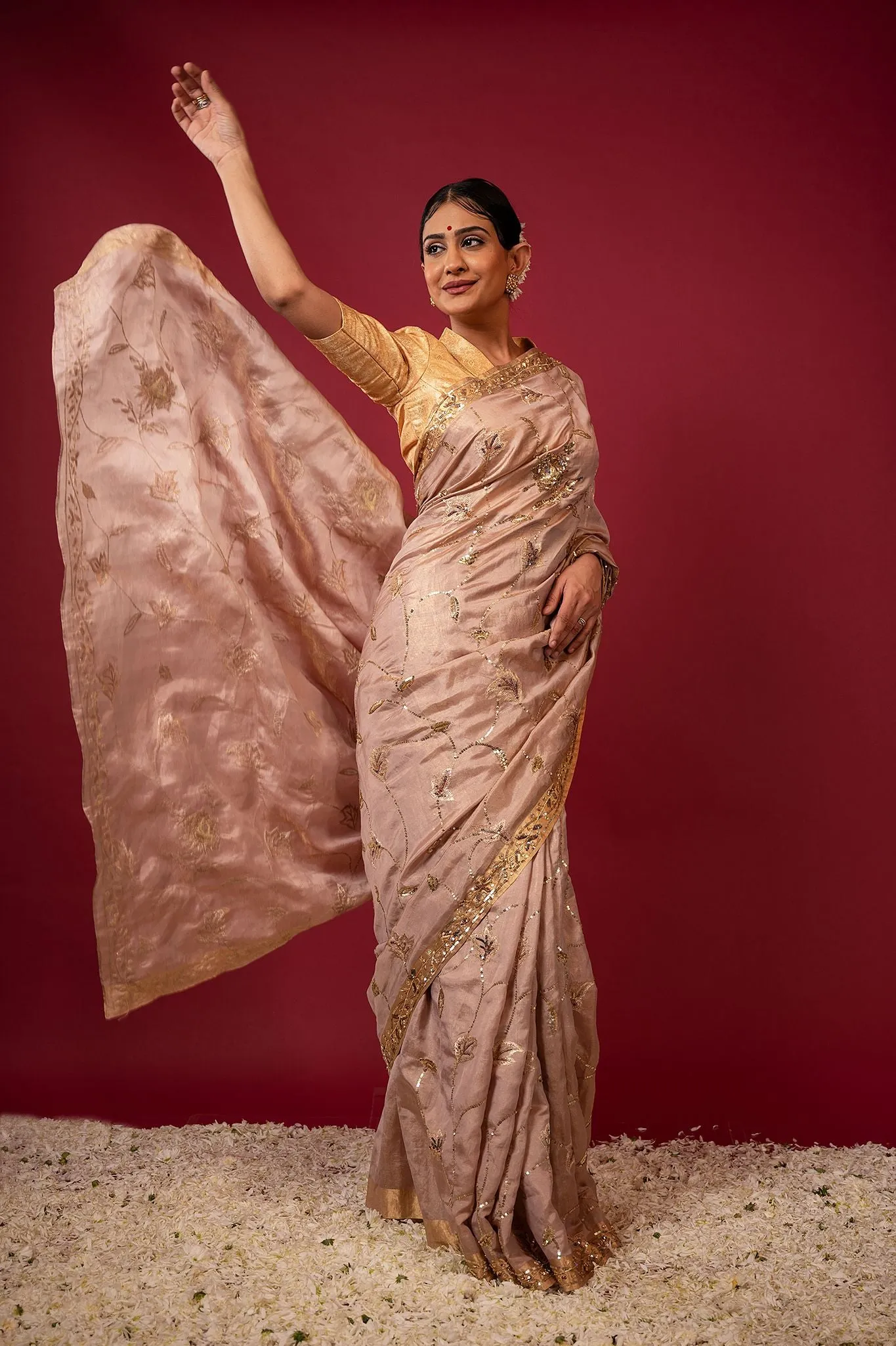 Handloom Tan Tissue Saree