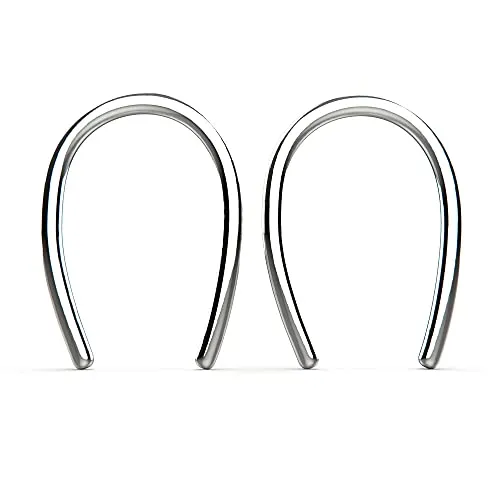 Tiny Horseshoe Pull Through Hoop Earrings