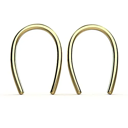 Tiny Horseshoe Pull Through Hoop Earrings